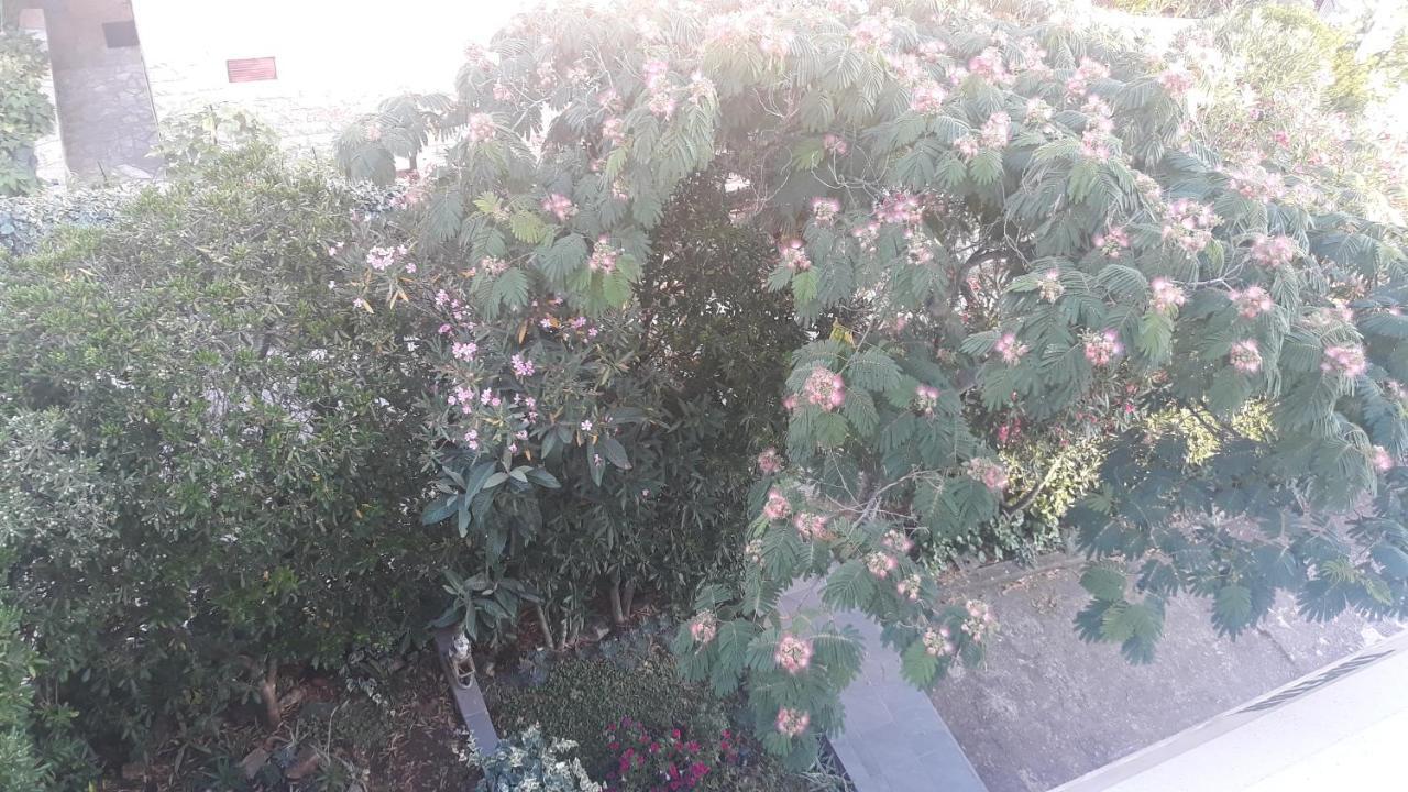 Apartments Suljic - Cash Only Property Stari Grad  Exterior foto